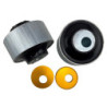 Control Arm Lower - Inner Rear Bushing Kit-Double Offset