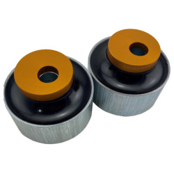 Control Arm Lower - Inner Rear Bushing Kit-Double Offset