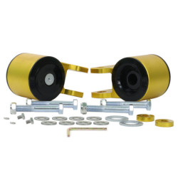 Control Arm Lower - Inner Rear Bushing Kit-Double Offset