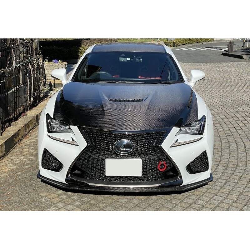 Jupe avant carbone vernis LEMS pour RCF phase 1