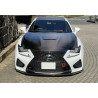 Jupe avant carbone vernis LEMS pour RCF phase 1