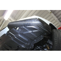Paire d'extension carbone vernis LEMS pour RCF phase 1