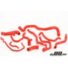 Audi S3/TT Seat Cupra R 1.8T Durites de refroidissement Rouge