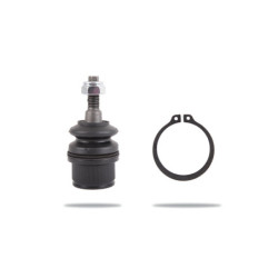 Pedders Ball Joint