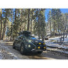 Pedders 2 inch Lift Kit. Heavy Duty. Subaru Forester SK models
