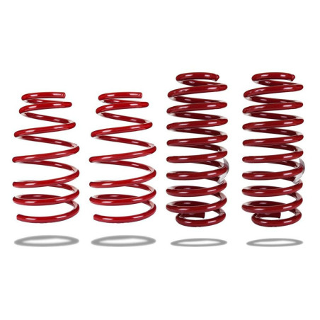 Pedders 4 coil springs lowered