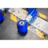 Civic 10th Gen Rear Adj. Camber Arm Kit (80 duro/ShA)