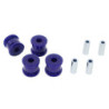 Triumph - Lwr/Tr/Arm Bush (80 duro/ShA)
